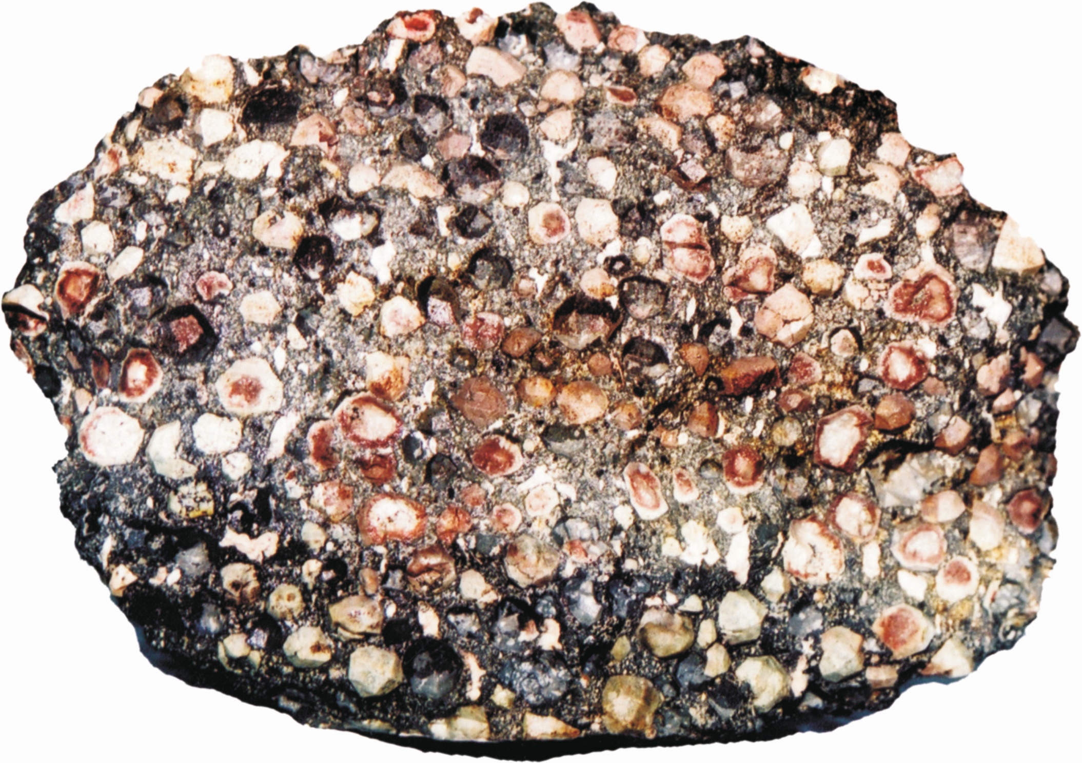 Wairakite Specimen picture