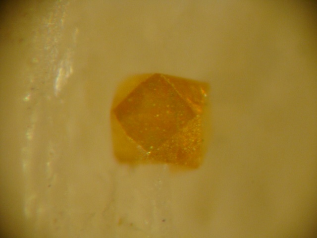 Walfordite Specimen picture