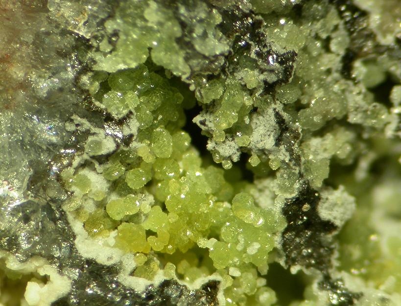 Waylandite Specimen picture