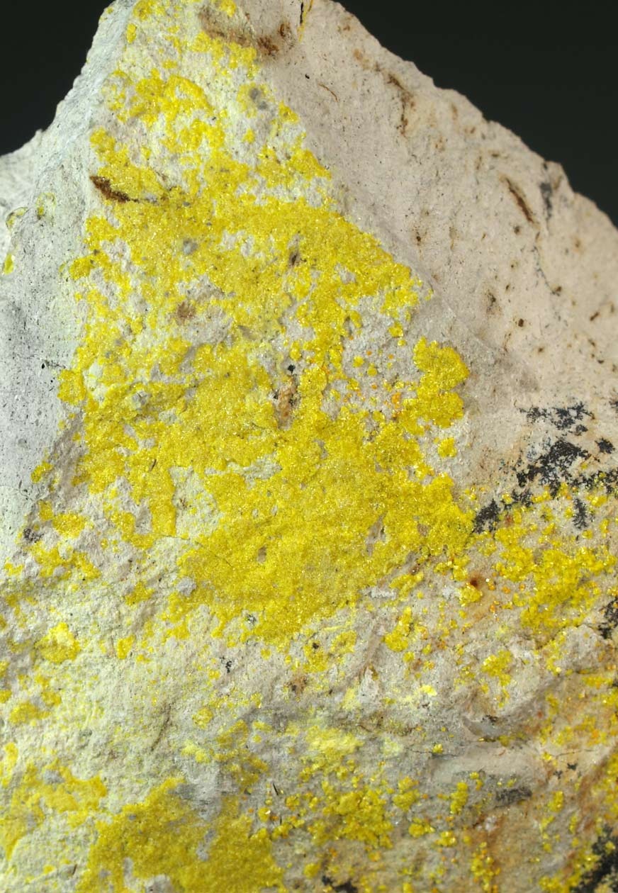 Weeksite Specimen picture