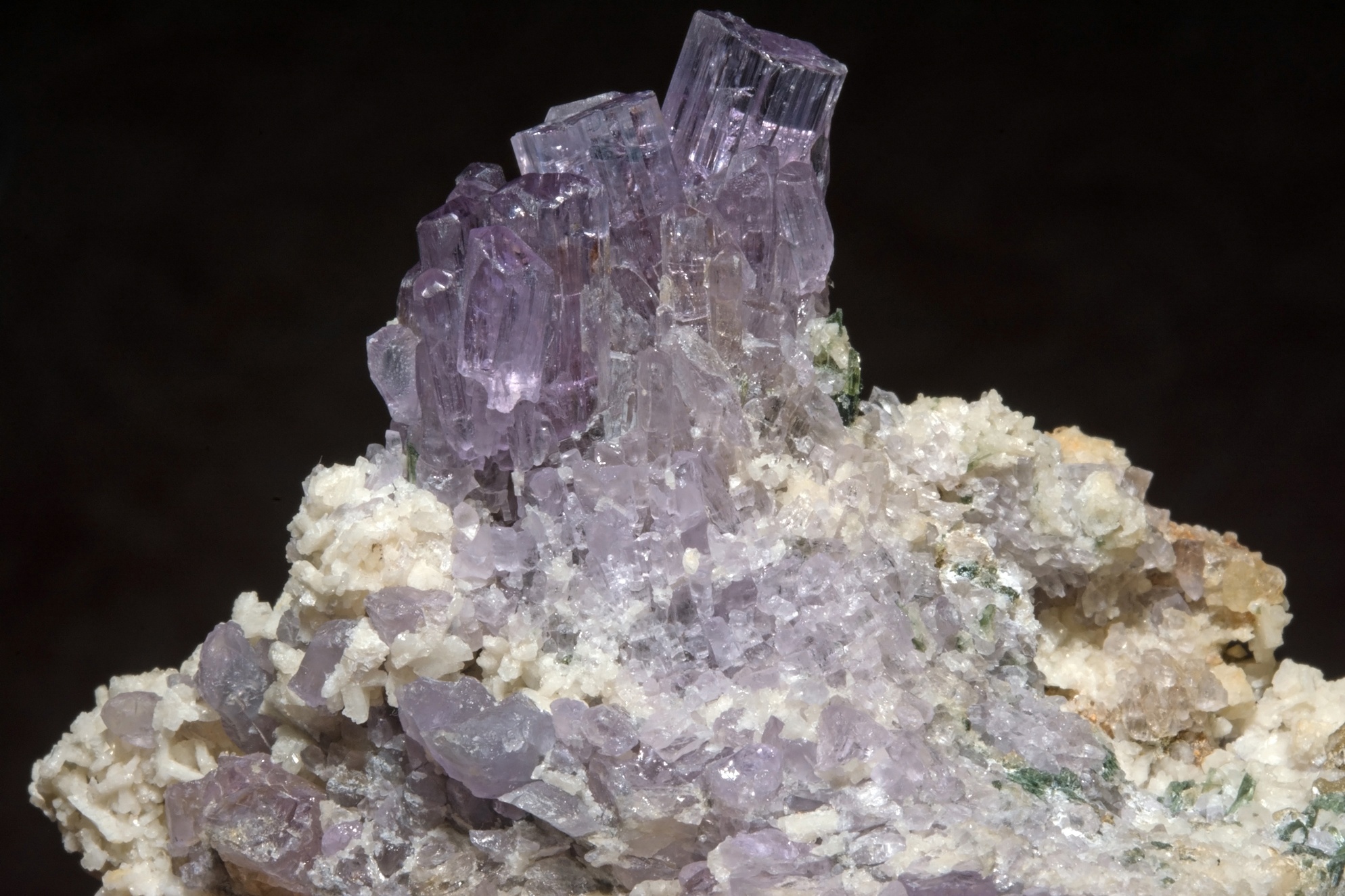 Wernerite Specimen picture