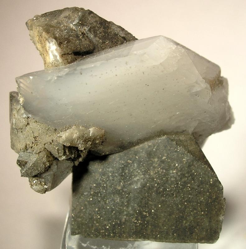 Whewellite Specimen picture