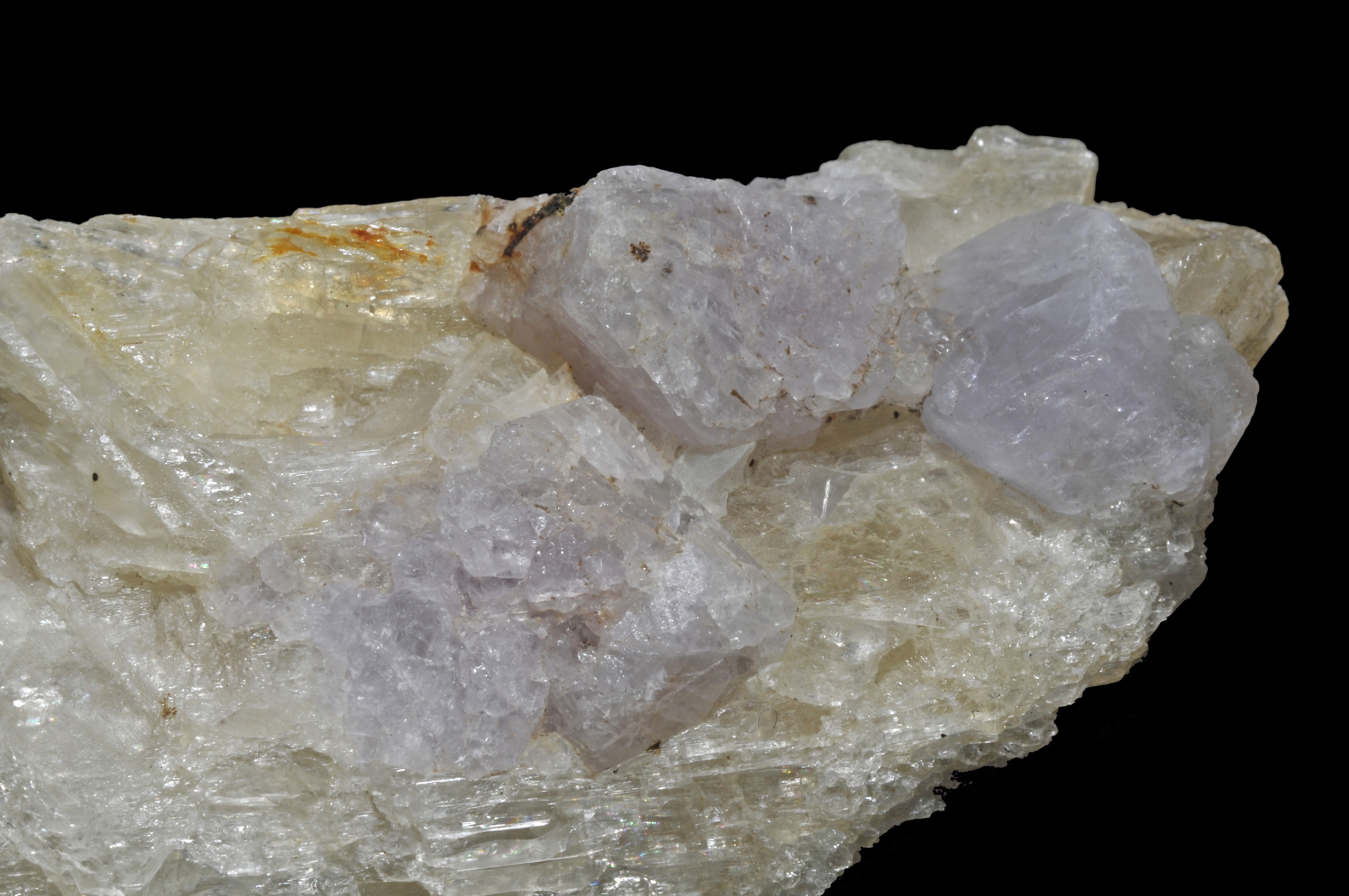 Winchite Specimen picture