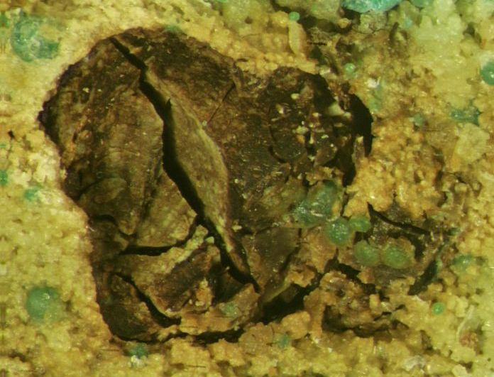 Yakhontovite Specimen picture