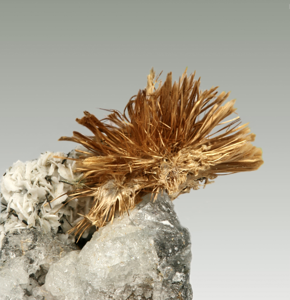 Yofortierite Specimen picture