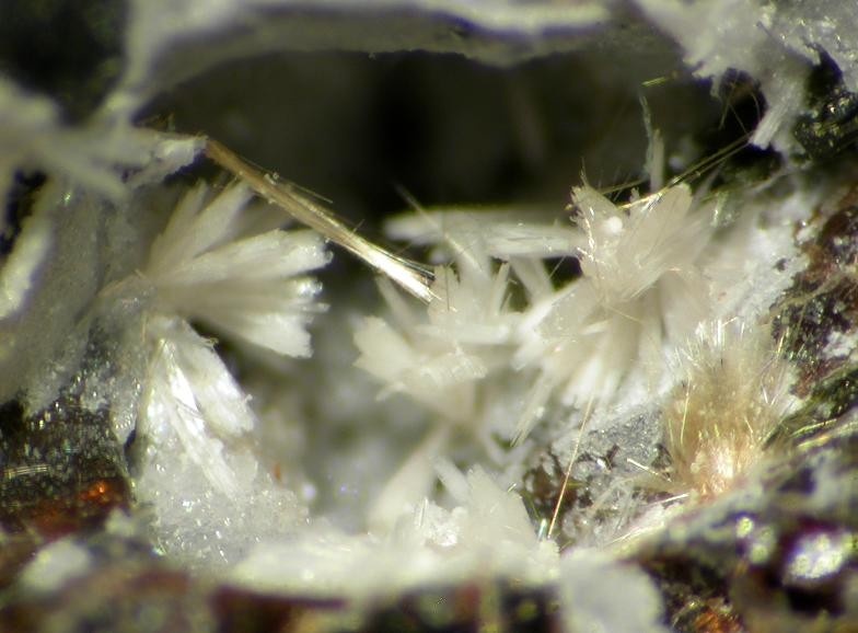 Zorite Specimen picture
