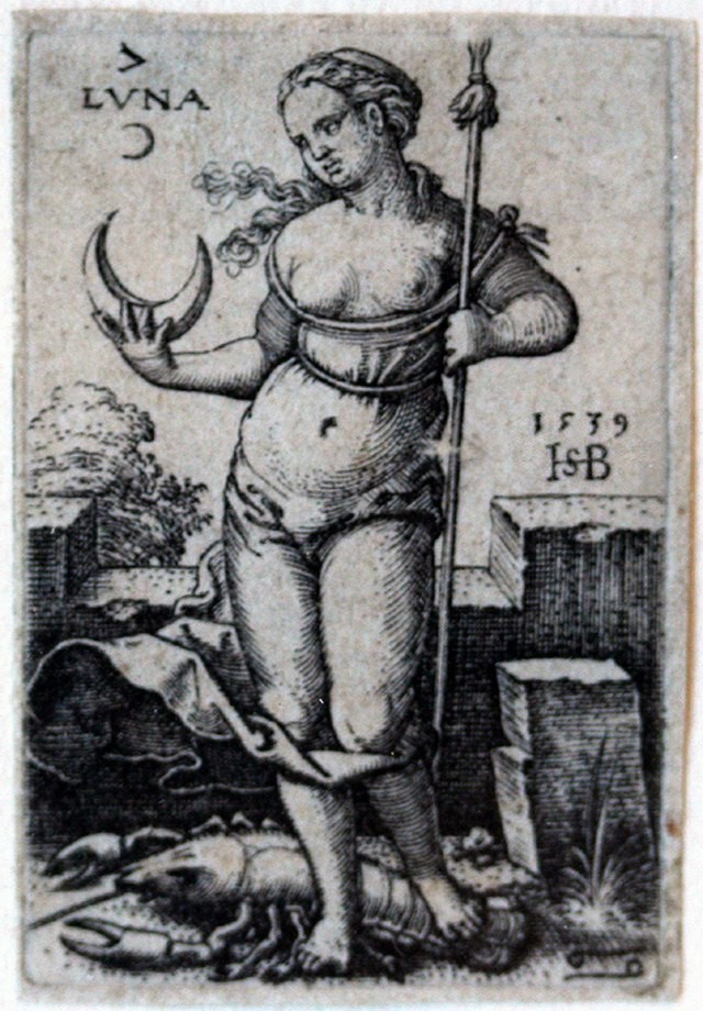 Selene Image