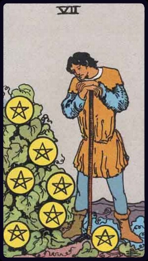 Seven of Pentacles Tarot Card